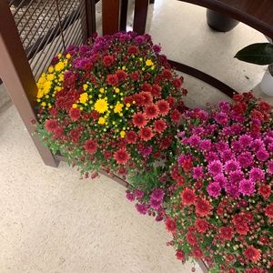 Meet your Posher, User